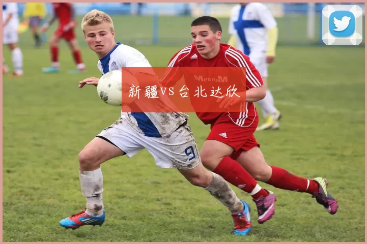 新疆vs台北达欣